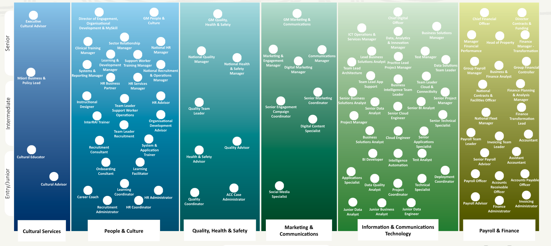 nzhg career pathway